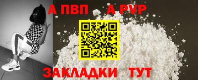гашик Новозыбков