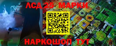 гашик Новозыбков
