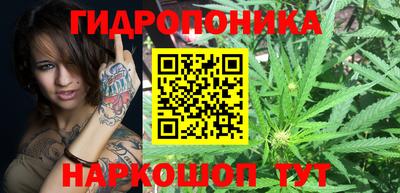наркотики Новодвинск