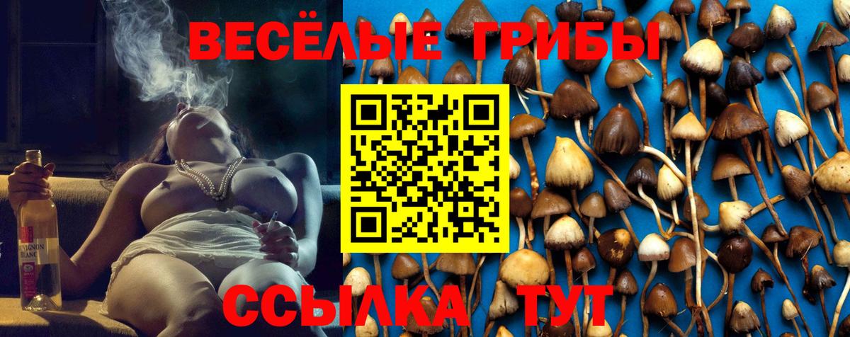 Псилоцибиновые грибы прущие грибы Тихорецк