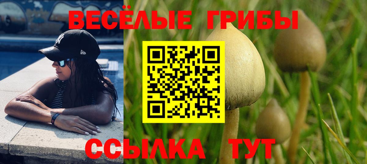 Тихорецк  купить наркотик  Псилоцибиновые грибы GOLDEN TEACHER  Вход с VPN  Галлюциногенные грибы Psilocybe 